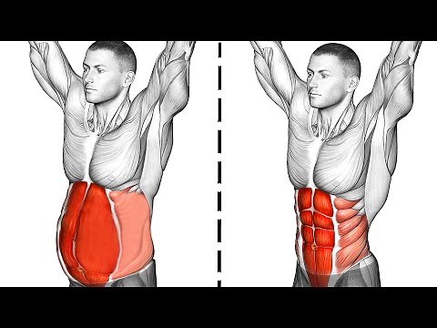 Abs Workout (Abdominal Exercises)
