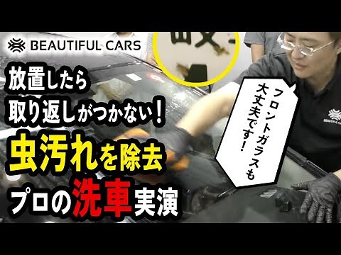 洗車のプロが、虫汚れリムーバーを使った落とし方を実演！フロントガラスもボディも、車の虫汚れを放置しない