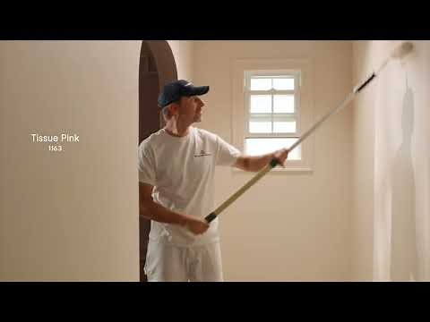 Benjamin Moore's Color of the Year 2025 - Cinnamon Slate 2113-40