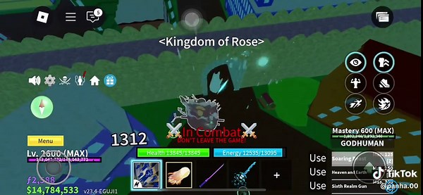 Ultimate Kak Combo in Roblox Blox Fruits Gameplay