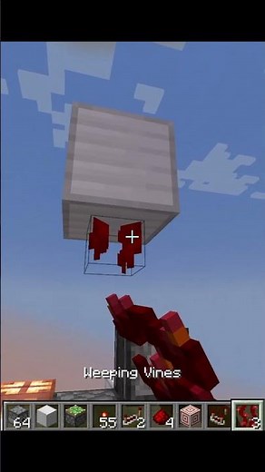 Redstone Torch Key Hidden Entrance #minecraft JAVA only