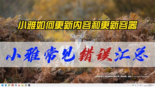 小雅安装中出现各种错误，如何解决？小雅安装常见错误汇总，以及如何更新内容和更新容器，增加外部访问安全性等内容补充说明。