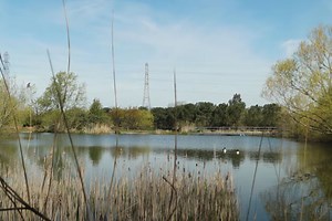 Marsbahis - Güncel Giriş ve Platform Rehberi