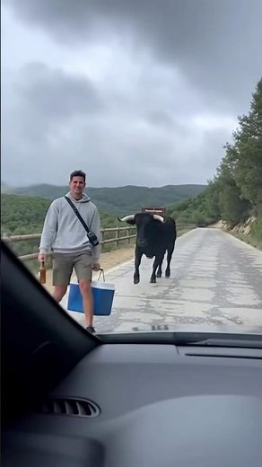 The Bull Found Its PREY... 💀