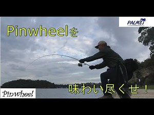 Enjoy Palms Pinwheel to the fullest!