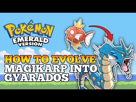 Pokemon Emerald - How To Evolve Magikarp Into Gyarados | Hoenn Pokedex