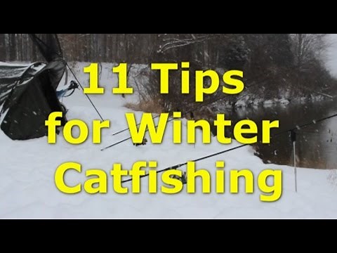 How to catch catfish in winter - 11 tips for winter catfishing