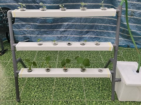 DIY Hydroponics : Easy Way To Build Your Own Hydroponic System At Home.