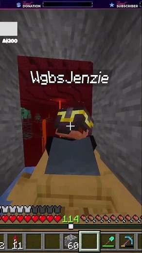 Trippy Minecraft Nether Highway