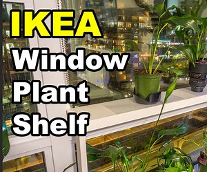 Window Sill Ledge Shelf for Plants