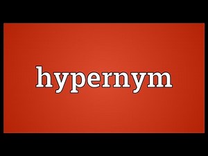 Hypernym Meaning