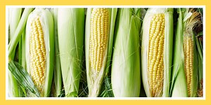 The Easiest Way to Cook Corn on the Cob