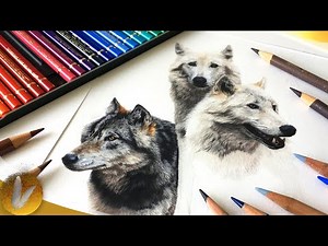 Beginning Colored Pencils Guide