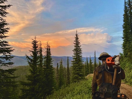 Entry Level (And Experienced) Wildland Firefighter - Training Provided - Miller Timber Services