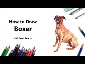 How to Draw a Boxer Dog Step by Step