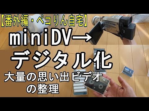 miniDV・DVDを動画ファイル化する方法/大量の思い出ビデオの整理【自宅の片付け】