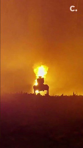 Check out this flamethrower robot dog for sale by Ohio-based company