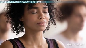 Earthworm | Anatomy, Organ Systems & Reproduction