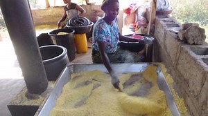 Requirements for starting small-scale gari processing businesses in Nigeria