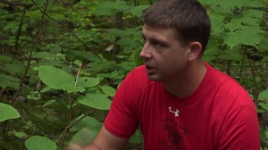 New Hampshire's WildSide is now on You Tube. | NH Fish and Game