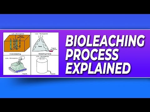 Bioleaching Process