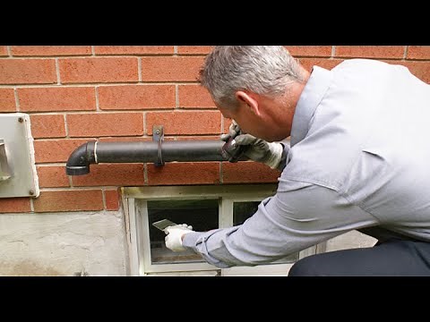 How to Identify Rodent Entry Points