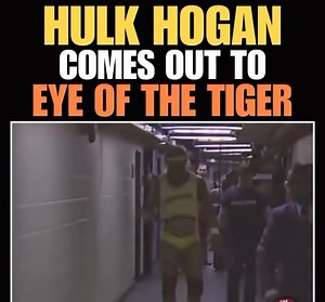 80's Wrestling on Reels