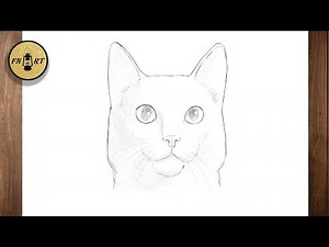 How to draw a cat face realistic step by step