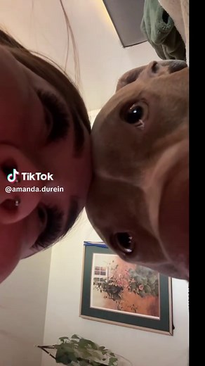 Adorable Moments with Girls and Their Dogs