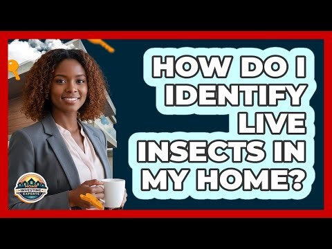 How Do I Identify Live Insects In My Home?