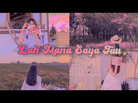 Polarr filter tutorial (with qr code)