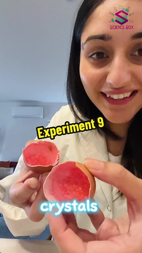 DIY Crystal Making with Eggshells! Fun Science Experiments for Easter