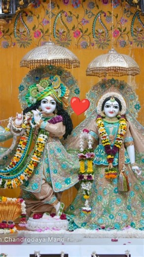 Shyam Teri Murli Ki Dhun 🎶 | #KrishnaBhakti ❤️#VrindavanVibes #BhaktiRas #RadhaKrishna #Shorts