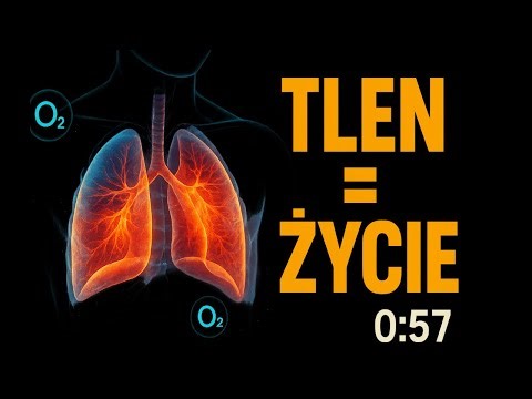 10 FAKTÓW o O2 — prawda, której nie widzisz