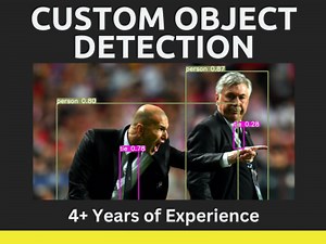 A custom object detection model