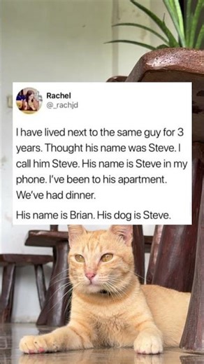 #tweening #christmas