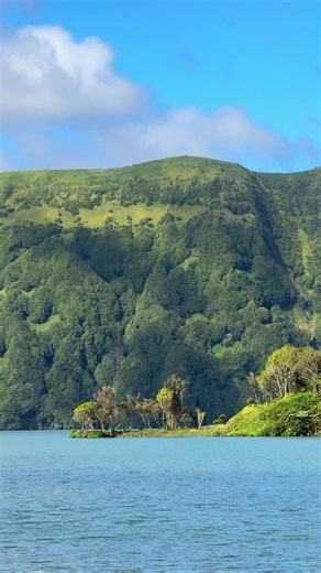 Dreaming of spring days like this 🥺🍃 #naturetravel #forest #ocean #uniqueplaces #peacefulplaces