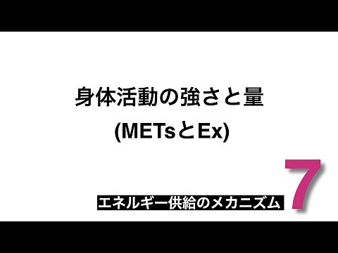 エネルギー供給のメカニズム 7.身体活動の強さと量（METsとEx）