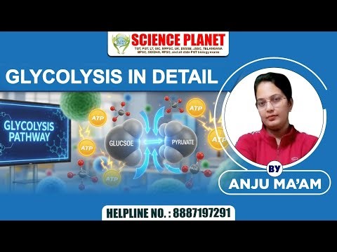 👉 GLYCOLYSIS in Detail | ग्लाइकोलिसिस की सम्पूर्ण प्रक्रिया Step by Step | Science Planet 🔬