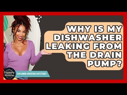 Why Is My Dishwasher Leaking From The Drain Pump? - Explaining Household Mysteries