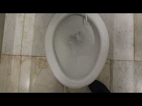 1954 "Standard" Madera toilet