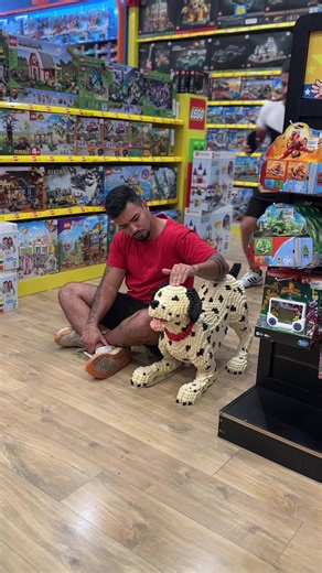 15K views · 229 reactions | Cachorro vs Cobra | spiderrusso | Facebook