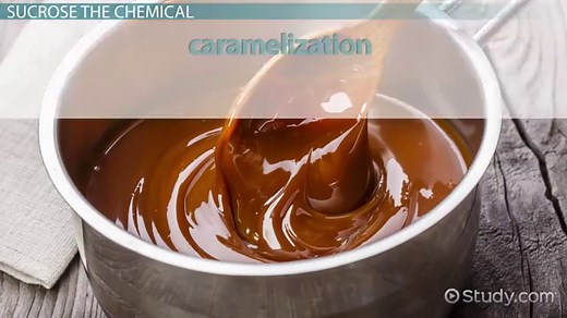 Sucrose Definition, Formula & Function