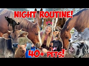 Last Night Routine Before having THE BARN! | Feeding All My Pets, Tack Haul, 40+ Cute Animals!