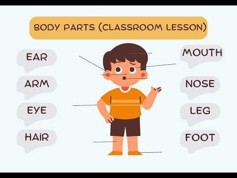 Body Parts Vocabulary | Marbles 1 Unit 6 | English Lesson for Kids