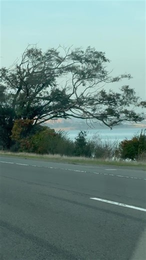 Exploring the Bay Area: Scenic Drives Under Perfect Weather