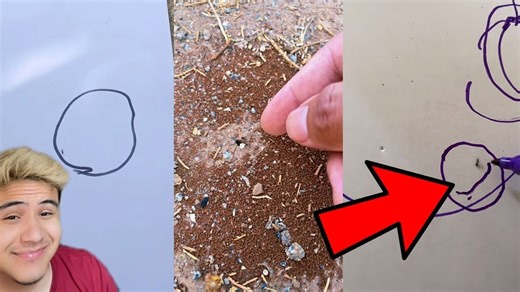 Watch This Light Bulb Float for Real