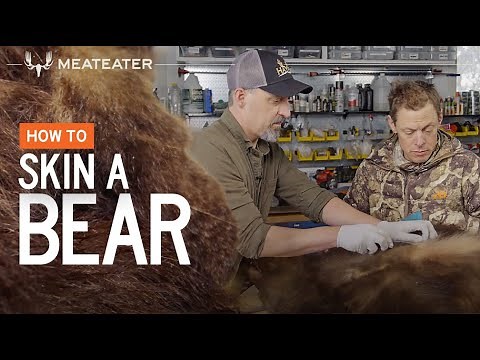 How to Skin a Bear with Steven Rinella