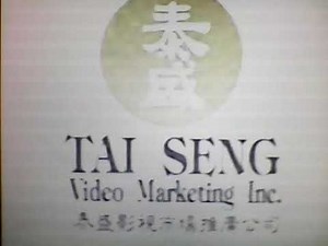 Tai Seng Video Marketing (1993)