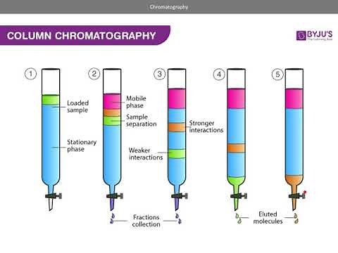 Chromatography (AQA A level Chemistry)